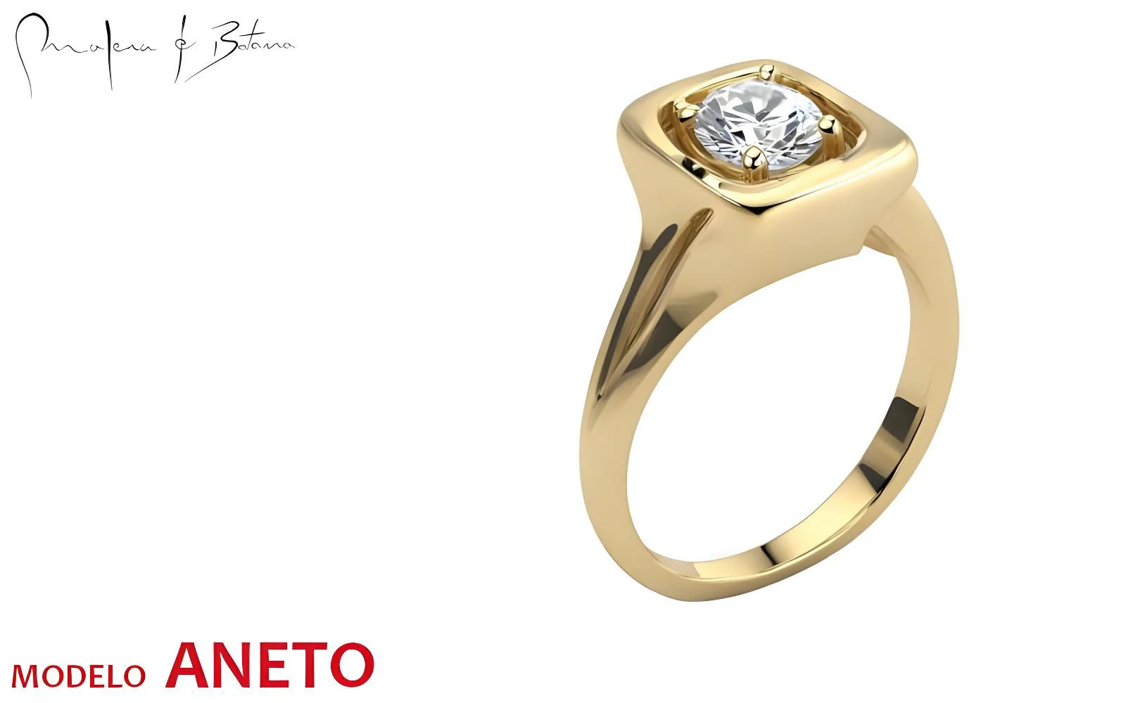 anillo  modelo aneto