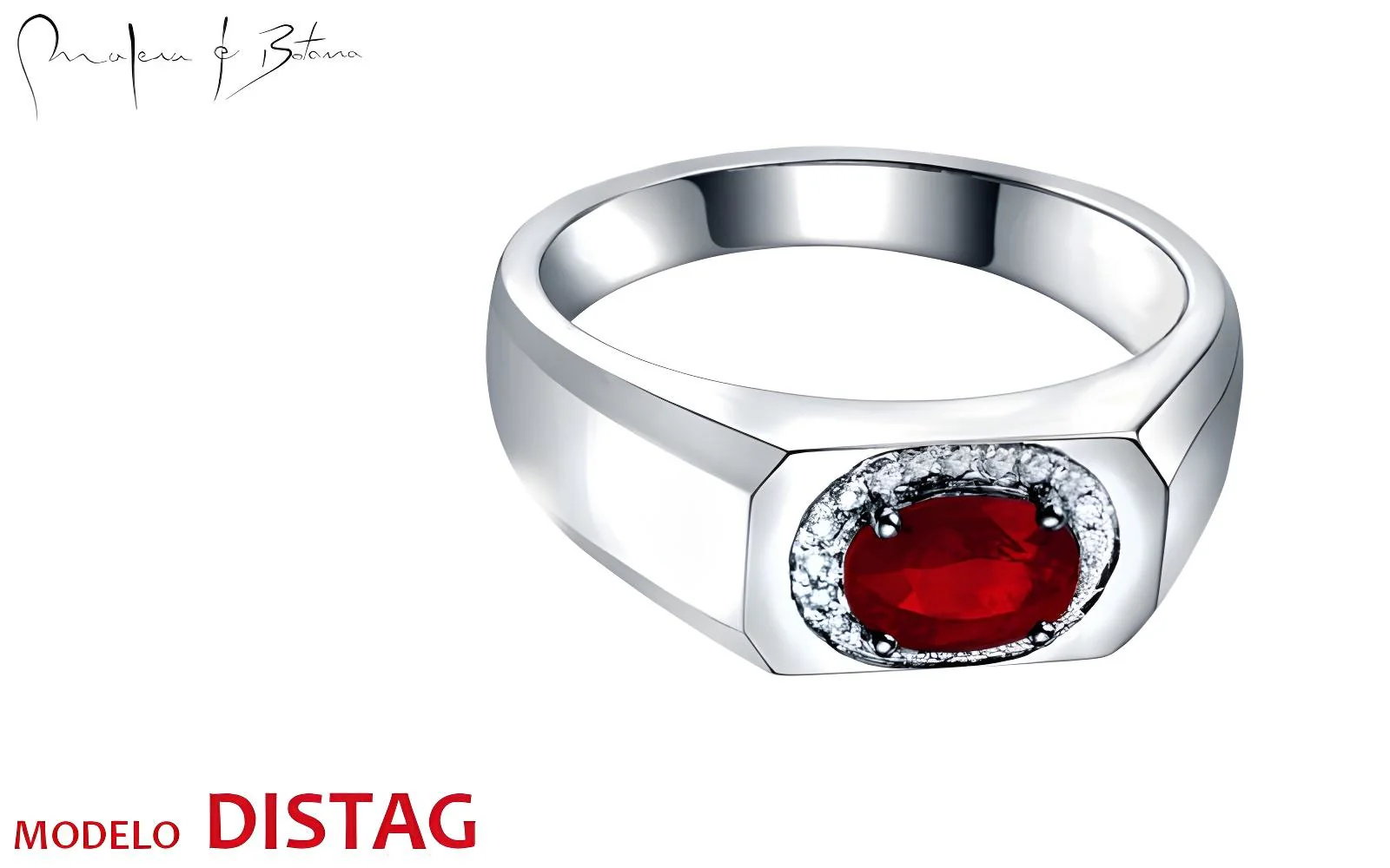 anillo  modelo DISTAG