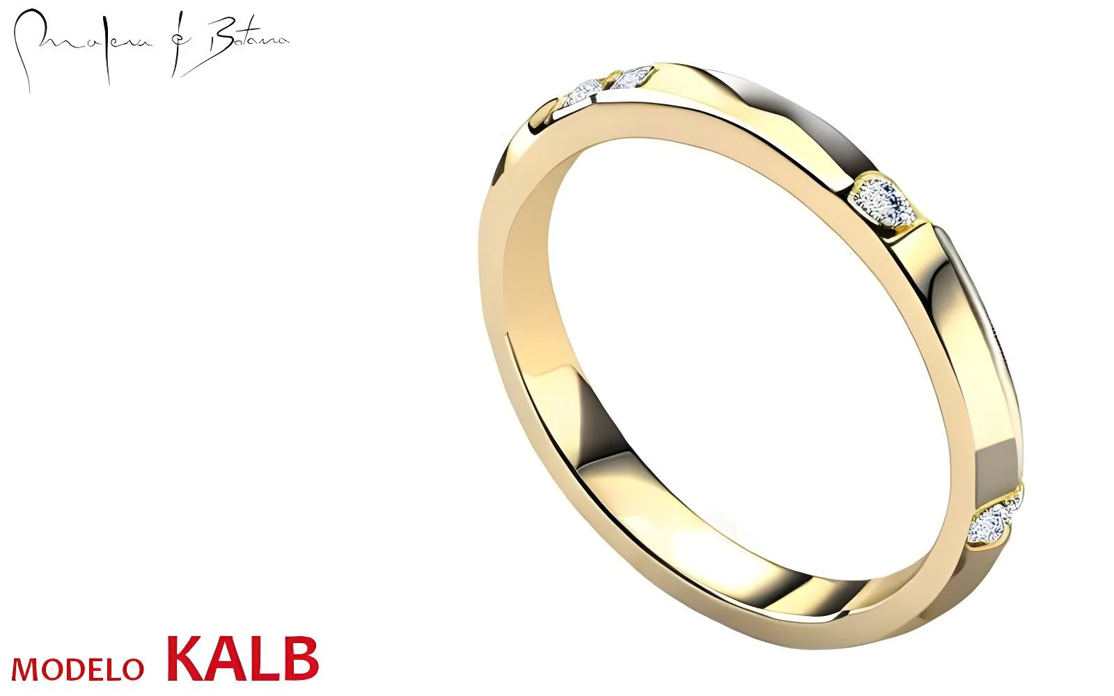 Anillo Modelo kalb anillo modelo kalb
