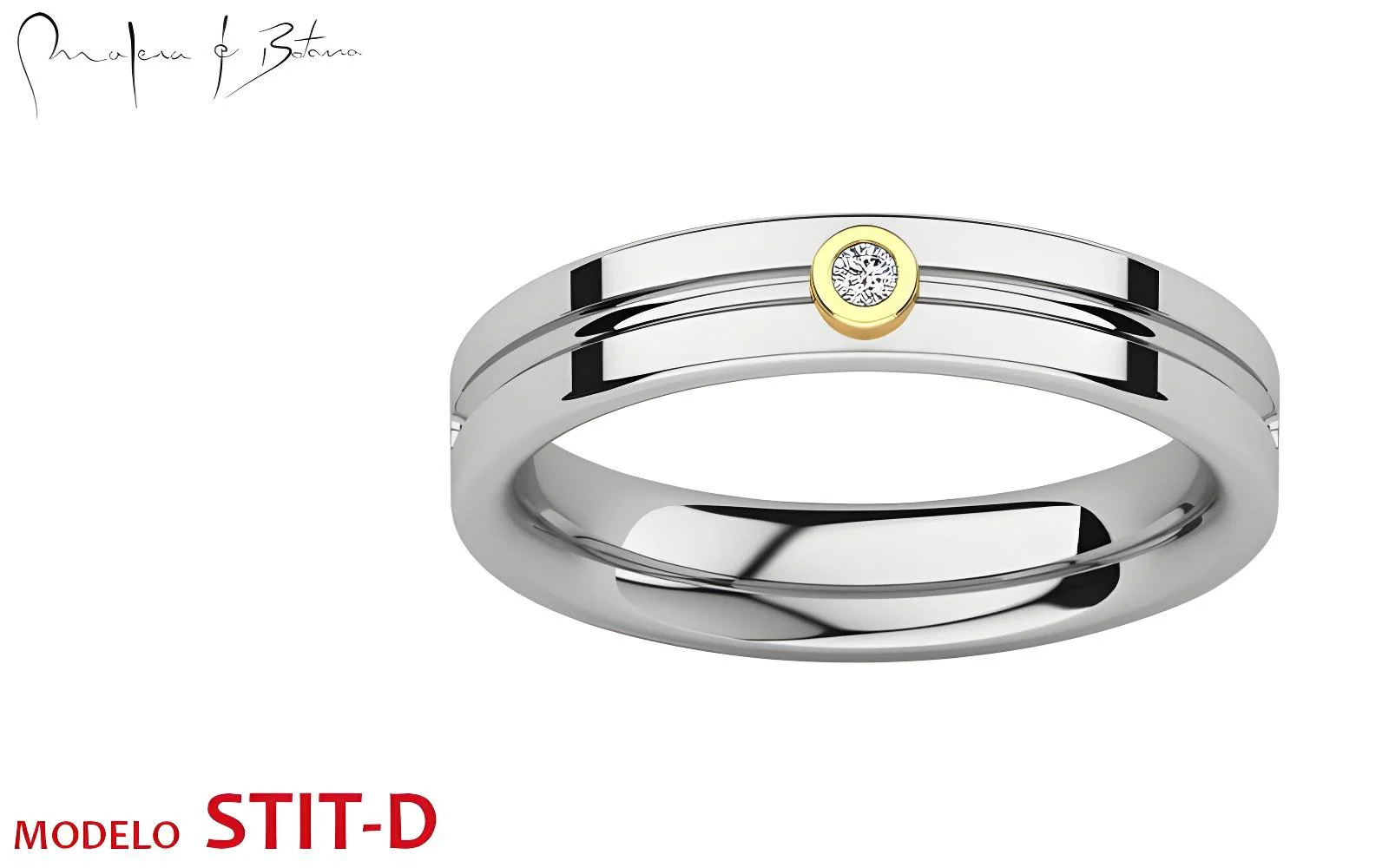 anillo  modelo STIT-D