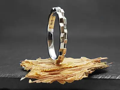 Anillo de plata con diseño texturizado y forma orgánica. Número de artículo: #2207