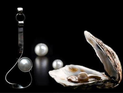 Composición artística sobre fondo negro mostrando diferentes tipos de perlas: sueltas, en joyería y dentro de una ostra abierta, ilustrando la diversidad en la producción de perlas